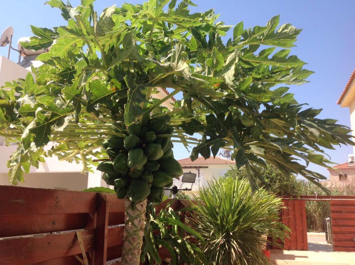 Carolyn Villa Is A Luxury 4-Bedroom Villa With Private Pool In Ayia Napa Exterior photo